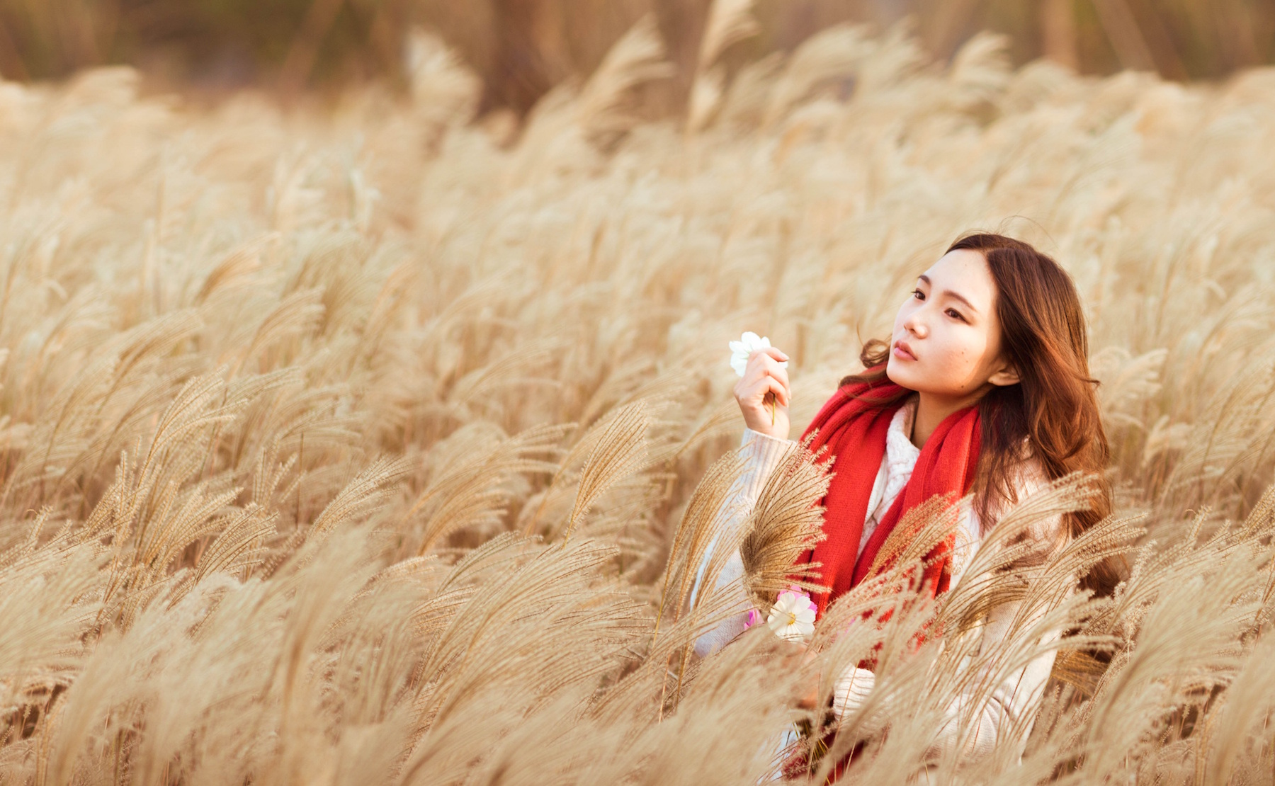 Woman alone deep in thought in a field of wheat, wearing a bright red scarf. 